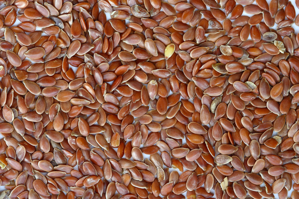 FLAX SEEDS
